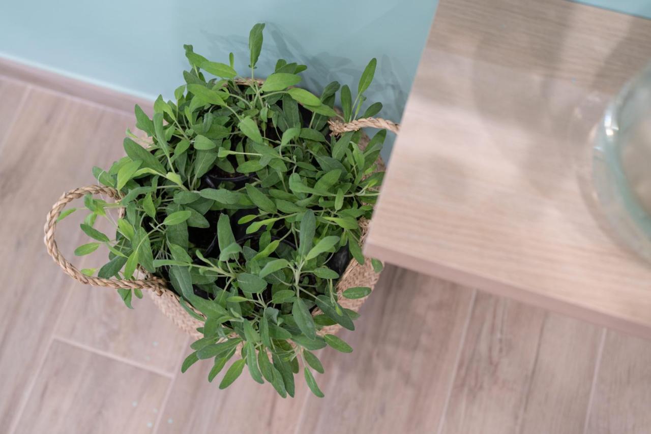 Viva Apartment Сорренто Екстер'єр фото